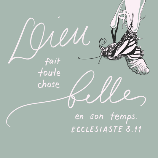 Dieu fait toute chose belle / Ecclésiaste 3.11